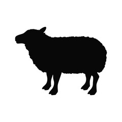 Lamb icon. Livestock animal life nature and fauna theme. Vector illustration