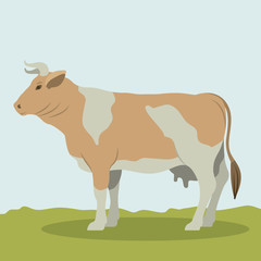 Cow icon. Livestock animal life nature and fauna theme. Vector illustration