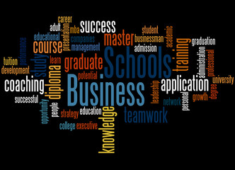 Business Schools, word cloud concept 2