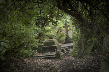 Fototapeta na wymiar Old Graves, Abney Cemetery, London