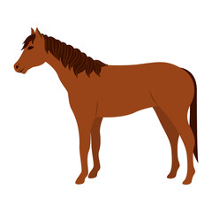 Horse icon. Livestock animal life nature and fauna theme. Vector illustration
