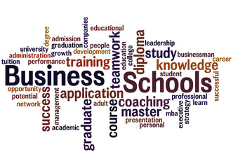 Obraz premium Business Schools, word cloud concept 6