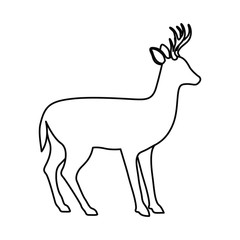 Deer icon. Livestock animal life nature and fauna theme. Vector illustration