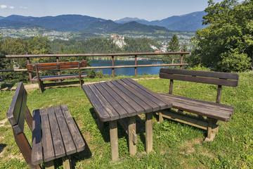 Place with aerial view over lake Bled, castle and Alps