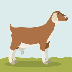Goat icon. Livestock animal life nature and fauna theme. Vector illustration