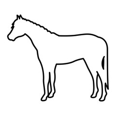 Horse icon. Livestock animal life nature and fauna theme. Vector illustration