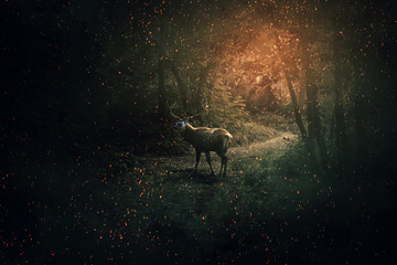 Fototapeta premium Majestic deer with blue glowing eyes and long horns guard the dark forest with a lot of fireflies and sparkles. Mystic wild scene screen saver.