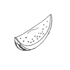 share watermelon scetch. vector