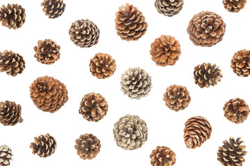 Pine cones