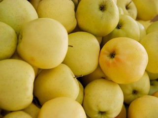 tasty apples