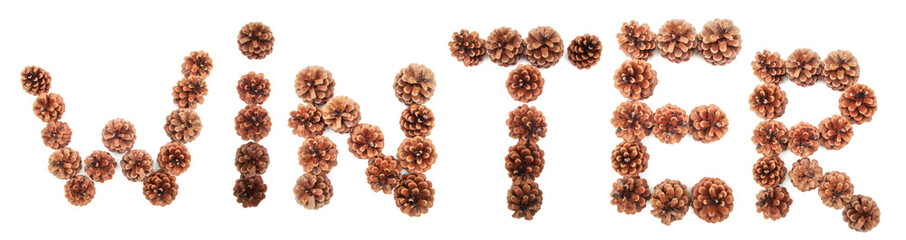 Cones with fir. Isolated on white background. Winter composition. Lined word winter.