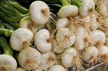 Fresh Onions at a French Farmers Market