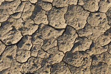 Dry land, cracked ground, without water.