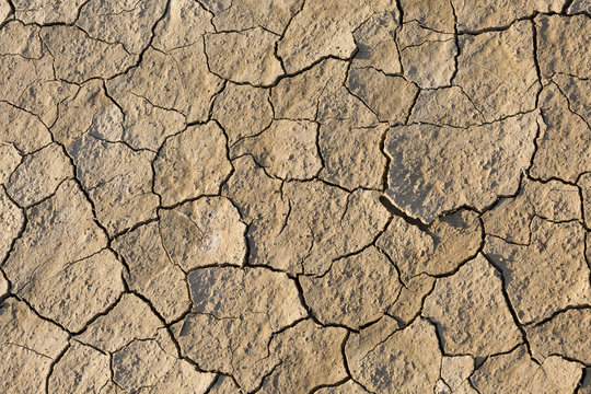 Dry land, cracked ground, without water.