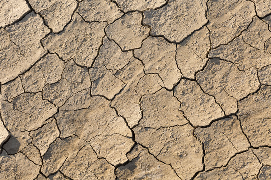 Dry land, cracked ground, without water.