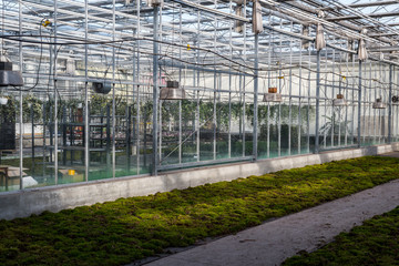 Gardening greenhouse