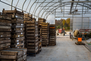 gospodarstwo szklarnia w tle traktor © BlackMediaHouse