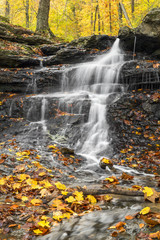 Fototapeta na wymiar Falling Water, Falling Leaves - Indiana's Lieber State Recreation Area