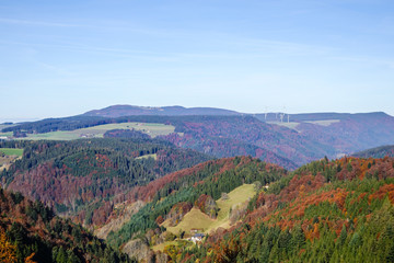 Fototapeta premium Schwarzwald-panorama