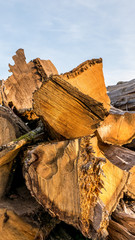 Holzlager mit alten Baumstämmen