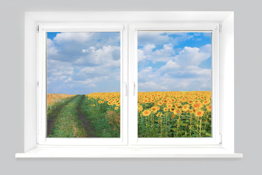view from window on field with sunflowers