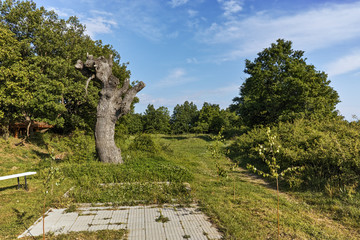 Fototapeta na wymiar Landscape near Thracian Temple Complex of Starosel, Plovdiv Region, Bulgaria