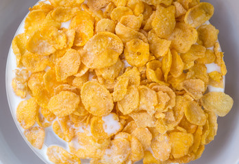 corn flake and milk in your morning .Cereals