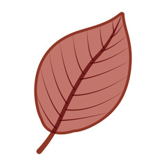 Leaf icon. Autumn season floral garden and nature theme. Vector illustration