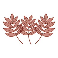 Leaves icon. Autumn season floral garden and nature theme. Vector illustration