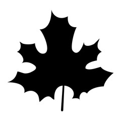 Leaf icon. Autumn season floral garden and nature theme. Vector illustration