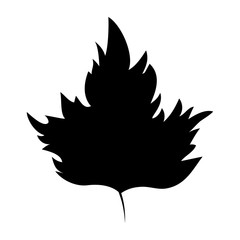 Leaf icon. Autumn season floral garden and nature theme. Vector illustration