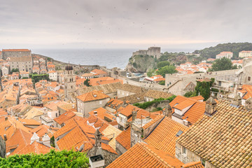 Fototapeta na wymiar Many birds flock over the historic old town of Dubrovnik, Croatia as dusk settles over the city walls.