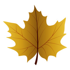 Leaf icon. Autumn season floral garden and nature theme. Vector illustration