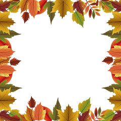 Leaves icon. Autumn season floral garden and nature theme. Vector illustration