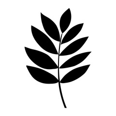 Leaf icon. Autumn season floral garden and nature theme. Vector illustration