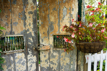 Flowers and Old Door
