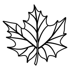 Leaf icon. Autumn season floral garden and nature theme. Vector illustration