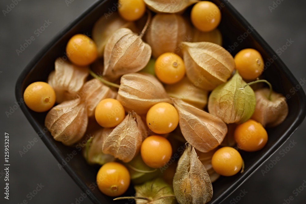 Poster physalis fruit