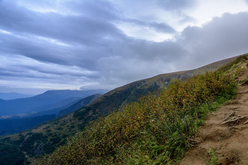 Trail to Mount Hoverla. Carpathian Mountains in Ukraine.