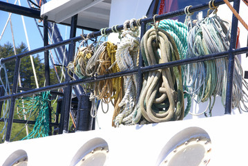 Harbor detail, coils of rope
