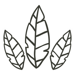 Leaf icon. Autumn season floral garden and nature theme. Vector illustration