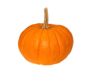 orange squash pumpkin isolated on white