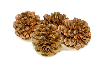 pine cones natural christmas decoration on white