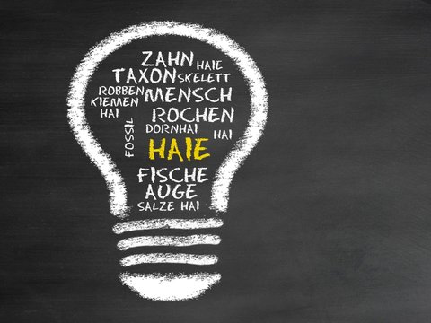 Haie