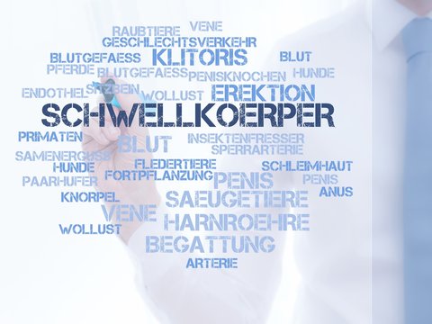 Schwellkörper Images – Browse 24 Stock Photos, Vectors, and Video | Adobe  Stock