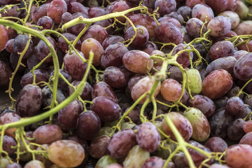 Organic Fruits and Vegetables in Farmers Market : Wilson Park, T