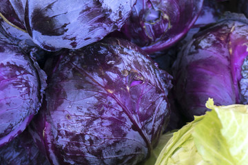 Fototapeta na wymiar Organic Fruits and Vegetables in Farmers Market : Wilson Park, T