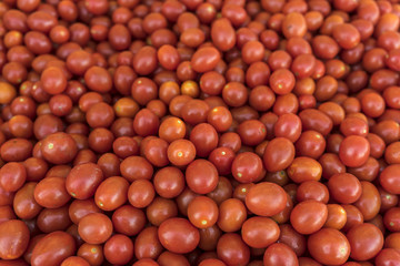Organic Fruits and Vegetables in Farmers Market : Wilson Park, T