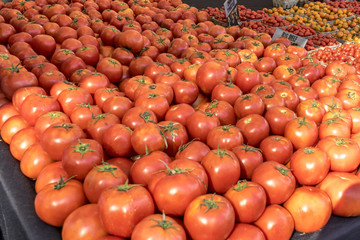 Organic Fruits and Vegetables in Farmers Market : Wilson Park, T