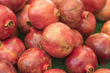 Organic Fruits and Vegetables in Farmers Market : Wilson Park, T